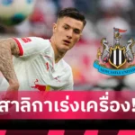 แมนซิตี้ เตรียมหานายใหม่ เป๊ป ยันลาเรือใบแน่หลังหมดสัญญา